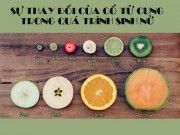 Bà bầu - Cổ tử cung vất vả thay đổi "từ đóng kín đến giãn nở 10cm" như thế nào?