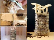 3 cách trồng nấm cực đơn giản, 5-10 ngày là có thể ăn ngon lành