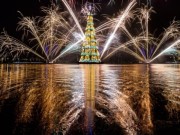 Tin tức - Những cây thông Noel “độc” nhất Giáng sinh 2016