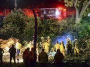 Tin tức - Cây cổ thụ cao 30m bỗng dưng đổ sập xuống đám cưới, đè 20 người