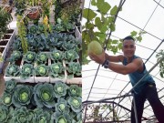 Nhà đẹp - Ông bố đảm trồng rau sạch, thả cá trên sân thượng phục vụ vợ con