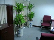 Nhà đẹp - Nếu bài trí nhà theo cách này, bạn sẽ có cả tiền bạc lẫn tình yêu