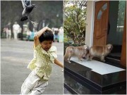 Nhà đẹp - 6 dấu hiệu báo trước bạn sắp gặp may mắn về tiền bạc và tình yêu