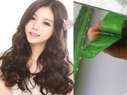 Làm đẹp - Bạn "đừng" xoa nha đam lên tóc nếu không sẽ bị nghiện công dụng của nó đấy