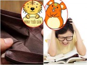 Nhà đẹp - Tử vi trong tuần ( từ 26/12 đến  1/1): Tuổi Tỵ đề phòng 'tiền khô cháy túi'