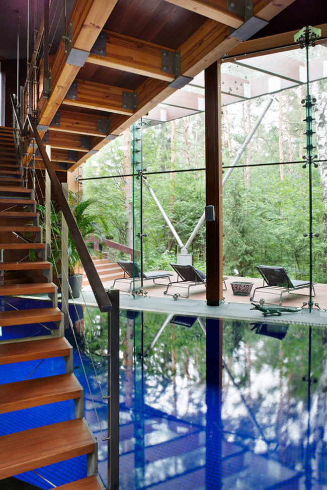 Có bể bơi giữa nhà, lại có thể ngắm cảnh rừng xanh qua ô cửa kính, đây quả thực là một thiên đường thư giãn.