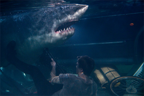 Khi cá mập khát máu bơi trong... siêu thị - 4