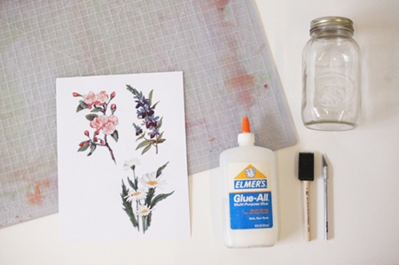 Dính chặt lọ, hoa đào chờ ngóng xuân - 1