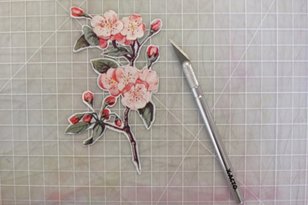 Dính chặt lọ, hoa đào chờ ngóng xuân - 3