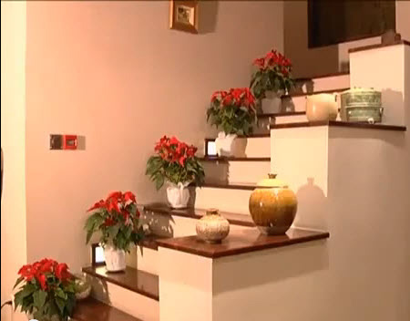 Soi sâu ngó kỹ nhà hoa hậu Hà Kiều Anh - 8