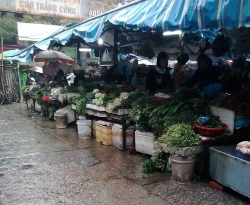 Giá rau quot;ngất ngưởngquot; cùng mưa rét - 2