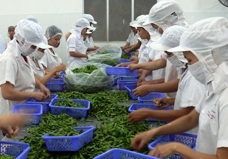 Quà quê xuất ngoại, phục vụ tết xa - 1