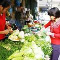 Tin tức - Chị em thở phào vì giá rau “hạ sốt”