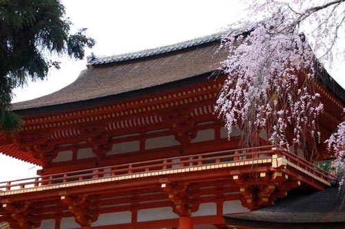 Đắm mình trong nét duyên thầm Nara, Nhật Bản - 2