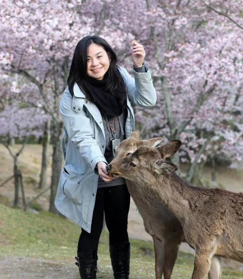 Đắm mình trong nét duyên thầm Nara, Nhật Bản - 4