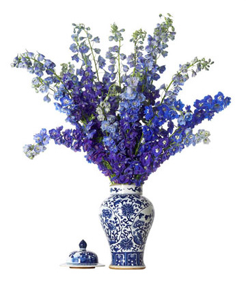 Tết đến, đừng cắm hoa này nhé! - 5