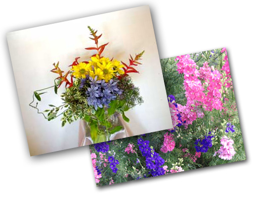 Tết đến, đừng cắm hoa này nhé! - 6