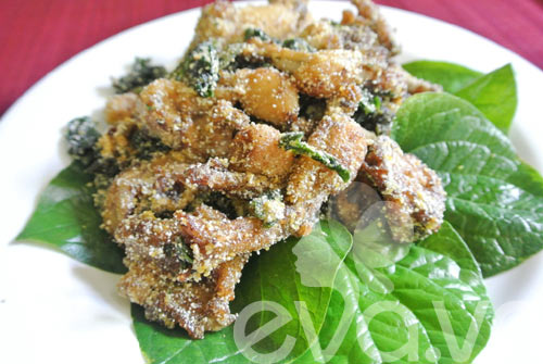 Chớ ăn lá lốt khi cho con bú - 1