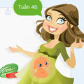 Chuẩn bị mang thai - Bé yêu đang lớn từng ngày