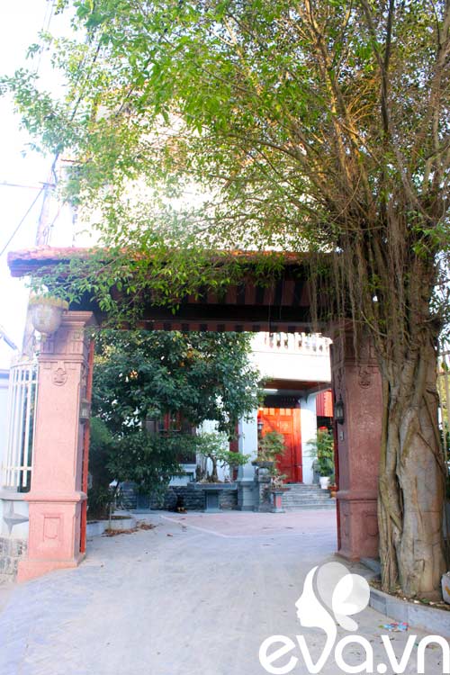 Khoe nhà: 300m2 mát mắt, lịm lòng - 1