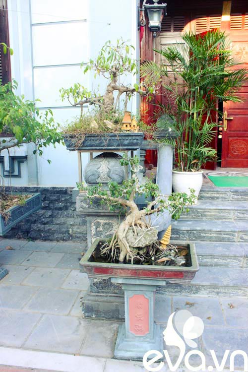 Khoe nhà: 300m2 mát mắt, lịm lòng - 4