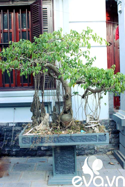 Khoe nhà: 300m2 mát mắt, lịm lòng - 6