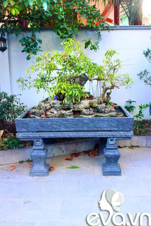 Khoe nhà: 300m2 mát mắt, lịm lòng - 7