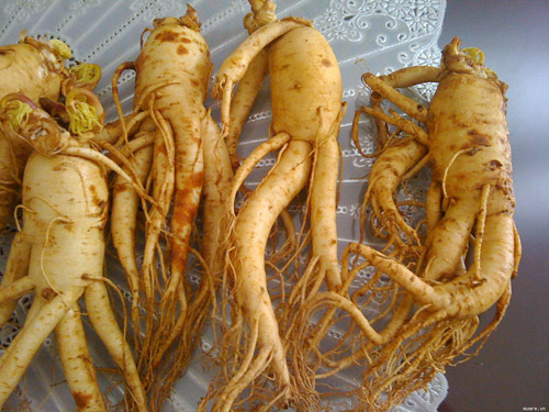 8 bài thuốc dân gian làm nở ngực - 3