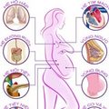 Bà bầu - Infographic: Cơ thể mẹ bầu thay đổi thế nào?