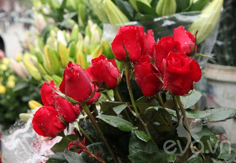Mày râu thổ lộ chân tình ngày 8-3 - 7