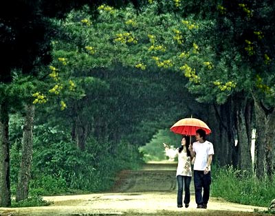 Em sẽ đưa anh về thưa với mẹ - 1
