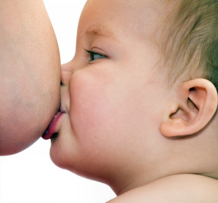 Ăn mỳ tôm cai sữa hiệu quả - 1