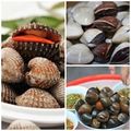 Bếp Eva - Mẹo giúp chị em chọn ngao, sò, ốc ngon
