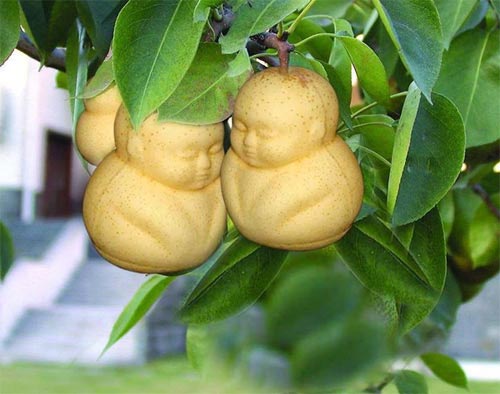 Sự thật về quot;lê hình trẻ sơ sinhquot; trong siêu thị - 1