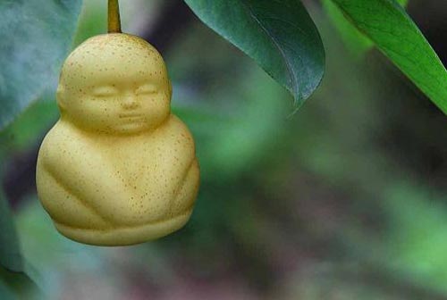 Sự thật về quot;lê hình trẻ sơ sinhquot; trong siêu thị - 2