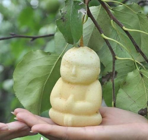 Sự thật về quot;lê hình trẻ sơ sinhquot; trong siêu thị - 3