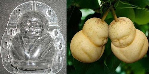 Sự thật về quot;lê hình trẻ sơ sinhquot; trong siêu thị - 4
