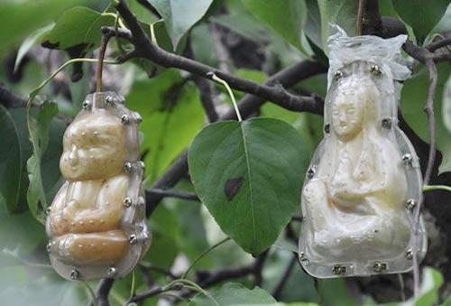 Sự thật về quot;lê hình trẻ sơ sinhquot; trong siêu thị - 5