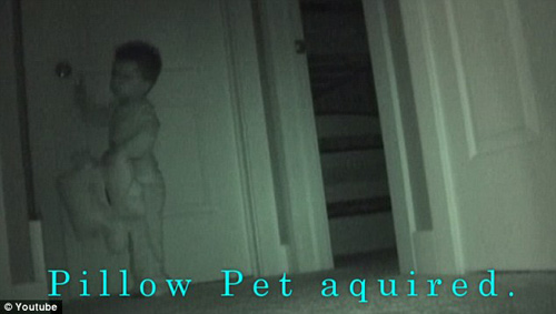 Sốt clip quot;siêu trộm nhíquot; 2 tuổi - 5