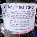 Tin tức - Đại gia Hà Nội chi 50 triệu tìm... chó lạc