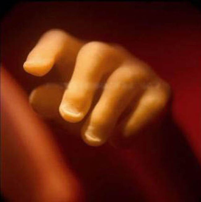 19 tuần tuổi: Em bé trong bụng mẹ đã có móng tay khá dài.
