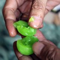 Mua sắm - Giá cả - Gần 60 tấn bánh kẹo, ô mai lậu tuồn vào Hà Nội