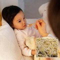 Làm mẹ - Con lười ăn, mẹ năng nấu: giá đỗ