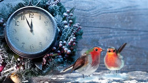 Thứ Ba của bạn (7/1/2014) - 1