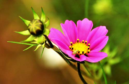 Thứ Năm của bạn (9/1/2014) - 1
