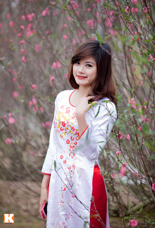 Đào Nhật Tân bắt đầu bung nở đón Tết Giáp Ngọ - 11