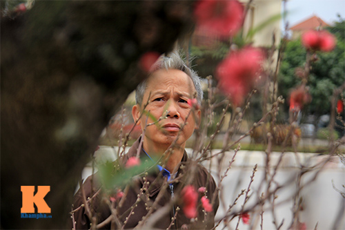 #039;Đào đại gia#039; hút khách dịp Tết - 12