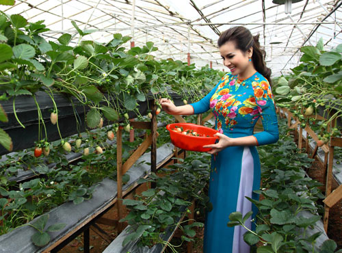 Quý bà Kim Hồng trẻ trung cưỡi ngựa - 14