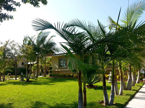 Thăm nhà không hào nhoáng của Quang Lê ở Mỹ - 5