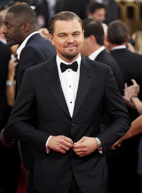 Leo DiCaprio nhận giải Nam diễn viên xuất sắc - 12